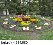 Цветочные часы Новосибирска (2013 год). Редакционное фото, фотограф Дмитрий Федоров / Фотобанк Лори
