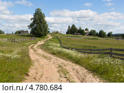 Дорога в деревню (2013 год). Стоковое фото, фотограф Николай Мухорин / Фотобанк Лори