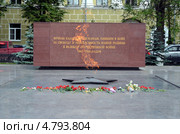 Вечный огонь в Вологде (2013 год). Редакционное фото, фотограф Светлана Колобова / Фотобанк Лори