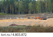 Свалка опила в лесной зоне (2012 год). Редакционное фото, фотограф Анатолий Матвейчук / Фотобанк Лори