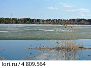 Озеро Большое Островное. Алтайский край. Стоковое фото, фотограф Free Wind / Фотобанк Лори