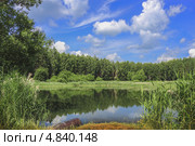 Озеро в лесу. Стоковое фото, фотограф Василий Корженевский / Фотобанк Лори