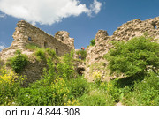 В крепости Копорье (2013 год). Стоковое фото, фотограф Александр Щепин / Фотобанк Лори