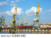 Канонерский остров, грузовой морской порт. Санкт-Петербург (2013 год). Редакционное фото, фотограф Светлана Колобова / Фотобанк Лори