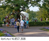 Летний день в Павловском парке. г.Санкт-Петербург (2013 год). Редакционное фото, фотограф Людмила Жмурина / Фотобанк Лори