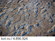 Земля близ соленого озера Баскунчак (2013 год). Редакционное фото, фотограф Алексей Шлыков / Фотобанк Лори