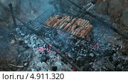 Жареное мясо на решетке на углях костра. Стоковое видео, видеограф Кекяляйнен Андрей / Фотобанк Лори