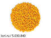 Плоды облепихи на белой тарелке (Hippophae rhamnoides) Стоковое фото, фотограф Алексей Кузнецов / Фотобанк Лори