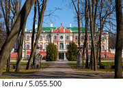 Парк Кадриорг. Таллин, Эстония (2013 год). Стоковое фото, фотограф EugeneSergeev / Фотобанк Лори