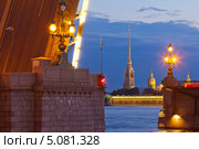 Санкт-Петербург.  Разведенный Троицкий мост (2013 год). Стоковое фото, фотограф Литвяк Игорь / Фотобанк Лори