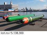 Торпеды и мины на Международном военно-морском салоне IMDS-2013. Редакционное фото, фотограф Игорь Долгов / Фотобанк Лори