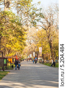 Главная аллея в Чистяковской роще, город Краснодар (2013 год). Редакционное фото, фотограф Алексей Букреев / Фотобанк Лори