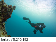 Подводный видеограф у кораллового рифа. Стоковое фото, фотограф Сергей Дубров / Фотобанк Лори