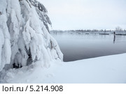 Снежные еловые лапы на берегу озера. Стоковое фото, фотограф Кекяляйнен Андрей / Фотобанк Лори