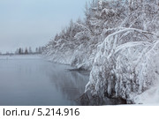 Заснеженные ветки деревьев над водой. Стоковое фото, фотограф Кекяляйнен Андрей / Фотобанк Лори