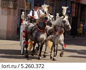 Конный экипаж на улицах Кракова (2013 год). Редакционное фото, фотограф Виктор Филиппович Погонцев / Фотобанк Лори