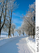 Зимний городской парк. Стоковое фото, фотограф ElenArt / Фотобанк Лори