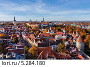 Эстония. Таллин. Панорама старого города (2013 год). Стоковое фото, фотограф Брагин Алексей Георгиевич / Фотобанк Лори