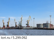 Нефтеналивной терминал в торговом порту Калининграда. Стоковое фото, фотограф Игорь Долгов / Фотобанк Лори