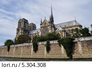 Собор Парижской Богоматери, Нотр-Дам-де-Пари (La cathedrale Notre-Dame de Paris), Париж, Франция (2013 год). Стоковое фото, фотограф Дарья Кравченко / Фотобанк Лори