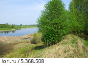 Весна на Уче. Стоковое фото, фотограф Елена Коромыслова / Фотобанк Лори