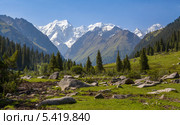 Летний пейзаж с заснеженными горами, Киргизия. Стоковое фото, фотограф Евгений Дубинчук / Фотобанк Лори