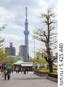 Вид на телебашню SkyTree с территории храма Sensoji, район Asakusa, Токио, Япония (2013 год). Редакционное фото, фотограф Кекяляйнен Андрей / Фотобанк Лори