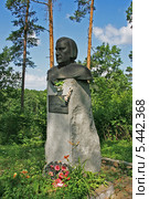 Винсент Дунин-Марцинкевич, бюст, кладбище Тупальщина, Минская обл., Беларусь (2013 год). Редакционное фото, фотограф Марина Шатерова / Фотобанк Лори