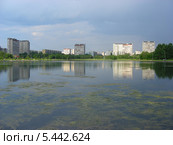 Гольяновский пруд весной, район Гольяново, Москва (2010 год). Стоковое фото, фотограф lana1501 / Фотобанк Лори