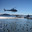 Посадка вертолета. Helicopter. Озеро Роторуа. Новая Зеландия (2012 год). Редакционное фото, фотограф Мовчан Ольга / Фотобанк Лори