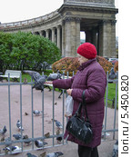 Пожилая женщина кормит голубей (2011 год). Редакционное фото, фотограф Корнилова Светлана / Фотобанк Лори