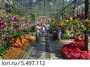 Тропический парк Нонг Нуч (англ. Nong Nooch Tropical Garden). Туристы фотографируются в оранжерее орхидей (2013 год). Редакционное фото, фотограф Григорий Писоцкий / Фотобанк Лори