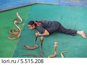Укротитель змей на арене. Королевство Таиланд (2012 год). Редакционное фото, фотограф Григорий Писоцкий / Фотобанк Лори