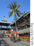 Катание на слонах. Тропический парк Нонг Нуч (Nong Nooch Tropical Garden), Королевство Таиланд (2013 год). Редакционное фото, фотограф Григорий Писоцкий / Фотобанк Лори