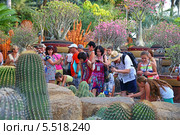 Тропический парк Нонг Нуч (англ. Nong Nooch Tropical Garden). Туристы фотографируют растения (2013 год). Редакционное фото, фотограф Григорий Писоцкий / Фотобанк Лори
