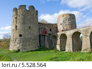 Крепость Копорье. Ленинградская область (2011 год). Стоковое фото, фотограф Александр Щепин / Фотобанк Лори
