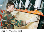 Склейка мебельного щита под прессом. Стоковое фото, фотограф Дмитрий Калиновский / Фотобанк Лори