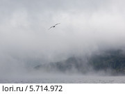 Остров Шикотан, вид с воды, Южные Курилы. Стоковое фото, фотограф Ирина Яровая / Фотобанк Лори