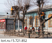 Обрезка деревьев работниками службы по благоустройству на улице Свободы в Рязани (2014 год). Редакционное фото, фотограф Александр Мишков / Фотобанк Лори