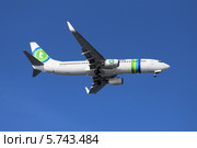 Самолет Transavia Netherlands Boeing 737-8K2(WL) заходит на посадку (бортовой номер PH-HZK) (2014 год). Редакционное фото, фотограф Алексей Гусев / Фотобанк Лори