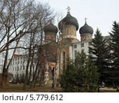 Собор  покрова пресвятой Богородицы (2014 год). Редакционное фото, фотограф Самойлова Екатерина / Фотобанк Лори