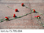 Гвоздики на гранитной плите. Стоковое фото, фотограф Сергей Куров / Фотобанк Лори