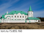 Государева ратная палата. Пушкин (2014 год). Редакционное фото, фотограф Александр Щепин / Фотобанк Лори