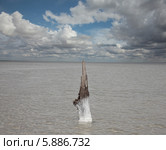 Обломок сваи в озере Баскунчак (2014 год). Редакционное фото, фотограф Александр Степанов / Фотобанк Лори