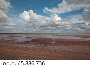 Берег озера Баскунчак (2014 год). Редакционное фото, фотограф Александр Степанов / Фотобанк Лори