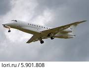 Embraer EMB-135BJ Legacy 600 (бортовой LX-MOI) авиакомпании Luxaviation на посадке во Внукове (2014 год). Редакционное фото, фотограф Alexei Tavix / Фотобанк Лори