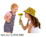 Девочка дает понюхать цветы младшей сестре, изолированно на белом фоне. Стоковое фото, фотограф Сергей Колесников / Фотобанк Лори