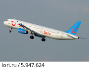 Airbus A321 (бортовой EI-ETL) авиакомпании Metrojet вылетает из Домодедова (2014 год). Редакционное фото, фотограф Alexei Tavix / Фотобанк Лори