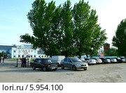 Ершов, таксисты на привокзальной площади (2014 год). Редакционное фото, фотограф Анна Мартынова / Фотобанк Лори