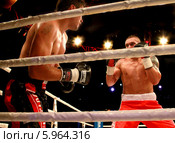 Чемпион по боксу Александр Усик и Сесар Давид Кренс на боксерском ринге. 31 мая 2014 год, Одесса, Украина. Редакционное фото, фотограф Александр Лесик / Фотобанк Лори